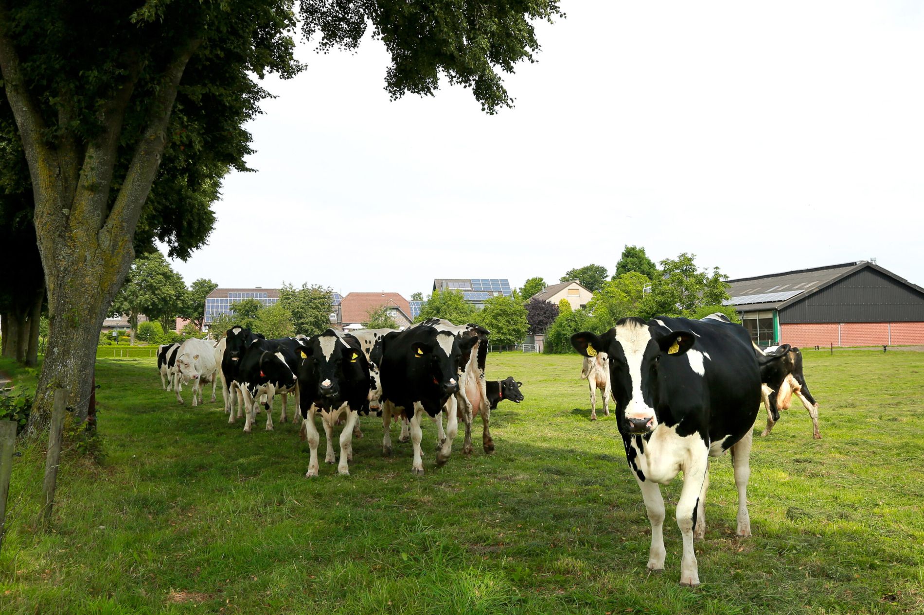 Hoff Hrung Bauernk Serei Straetmanshof Kerken